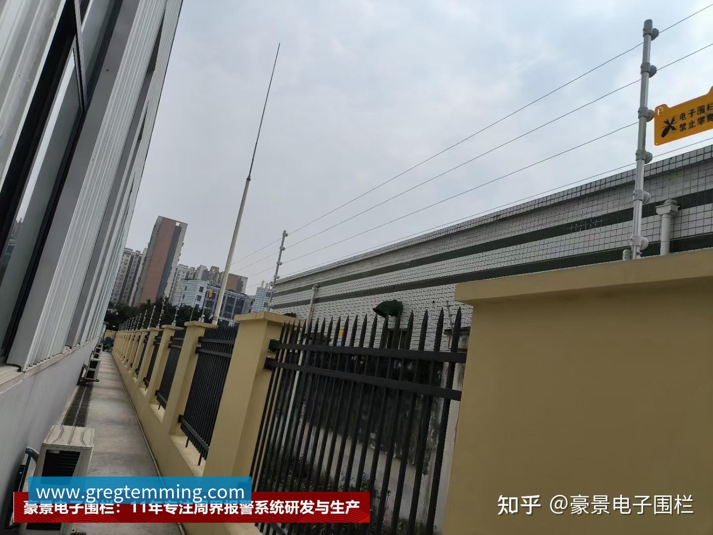 飞盘专题：深入解析上海飞盘队的战术与技术创新之路